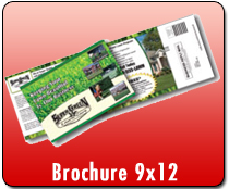 Brochure 9 x 12 - Direct Mail | Cheapest EDDM Printing